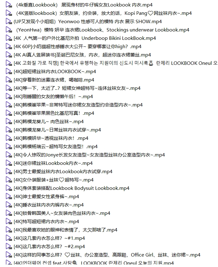 「韩国美女内衣丝袜换衣视频4K合集 28.5G 」